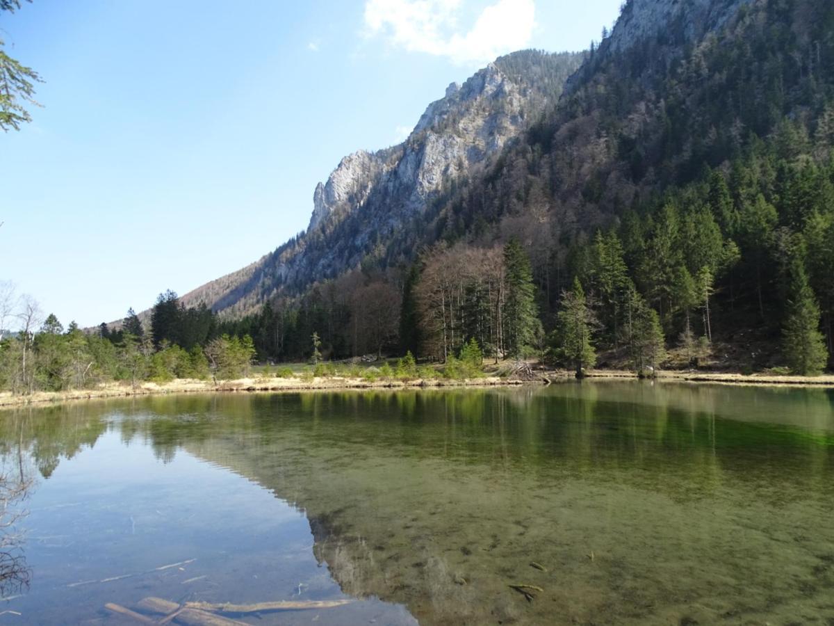 Ferienwohnung Frieda Inzell Bagian luar foto