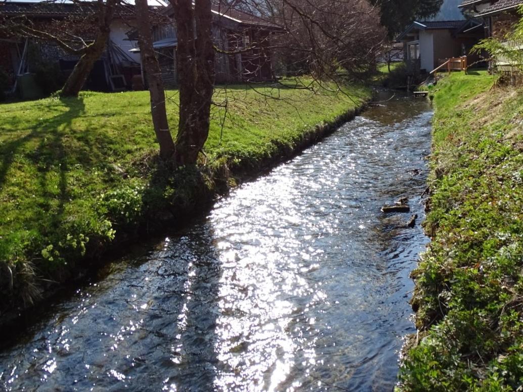 Ferienwohnung Frieda Inzell Bagian luar foto