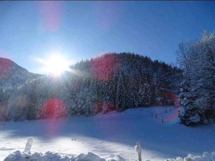 Ferienwohnung Frieda Inzell Bagian luar foto